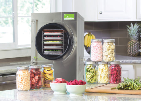 Why Every Home Needs a Freeze Dryer: Benefits and Uses