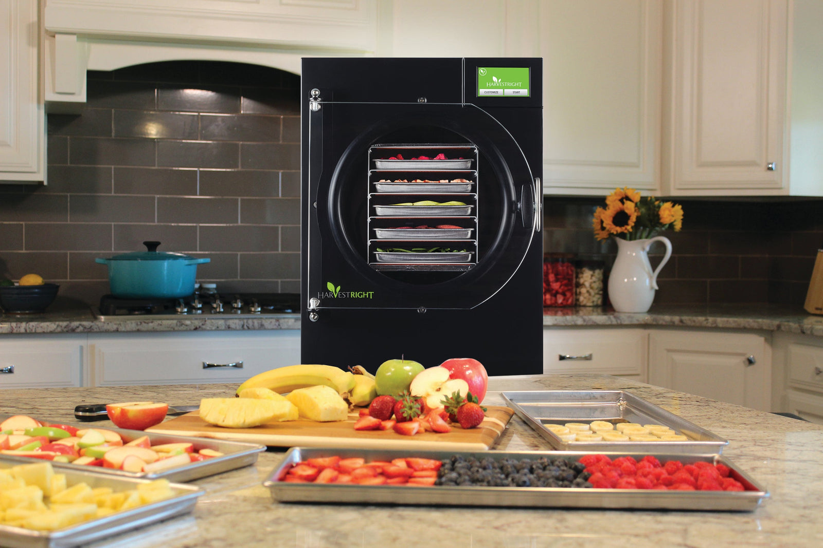 Freeze Drying at Home: Comprehensive Beginner’s Guide