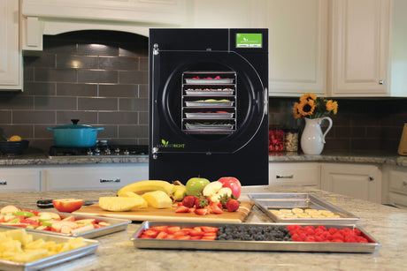Freeze Drying at Home: Comprehensive Beginner’s Guide