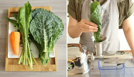 Angel Juicer Reviews: What Makes It a Top Choice? - Juicerville