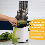 Kuvings ® All Juicers